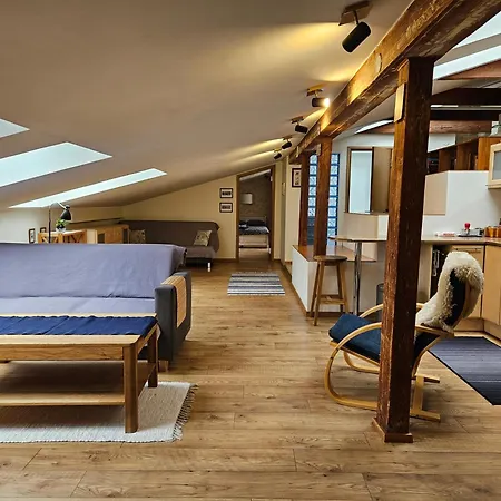 An Awesome Penthouse Near The Center *